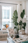Como utilizar plantas na decoração?