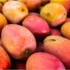 Pomar: o que é, de frutas, como fazer em vasos, cuidar e mais!