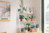 Plantas ornamentais para interiores: as melhores para se ter em casa!